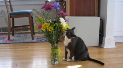Yes, I keep our flowers on the floor.
