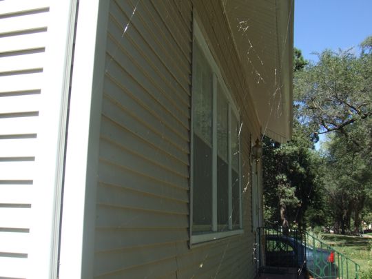Lookin' a little shabby - both the web and the house.